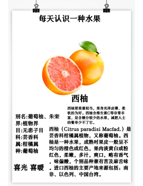 探秘西柚末：独特魅力与多元应用