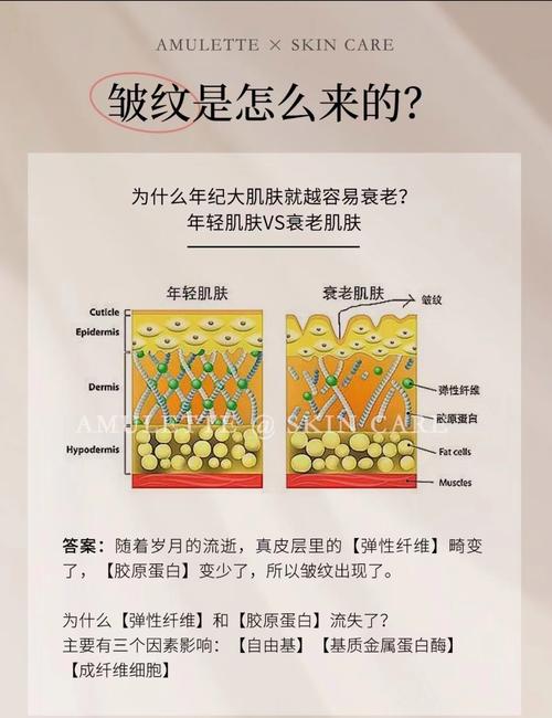 详细阅读:皱纹产生机制:岁月的痕迹与皮肤的密码 皱纹产生机制:岁月的痕迹与皮肤的密码