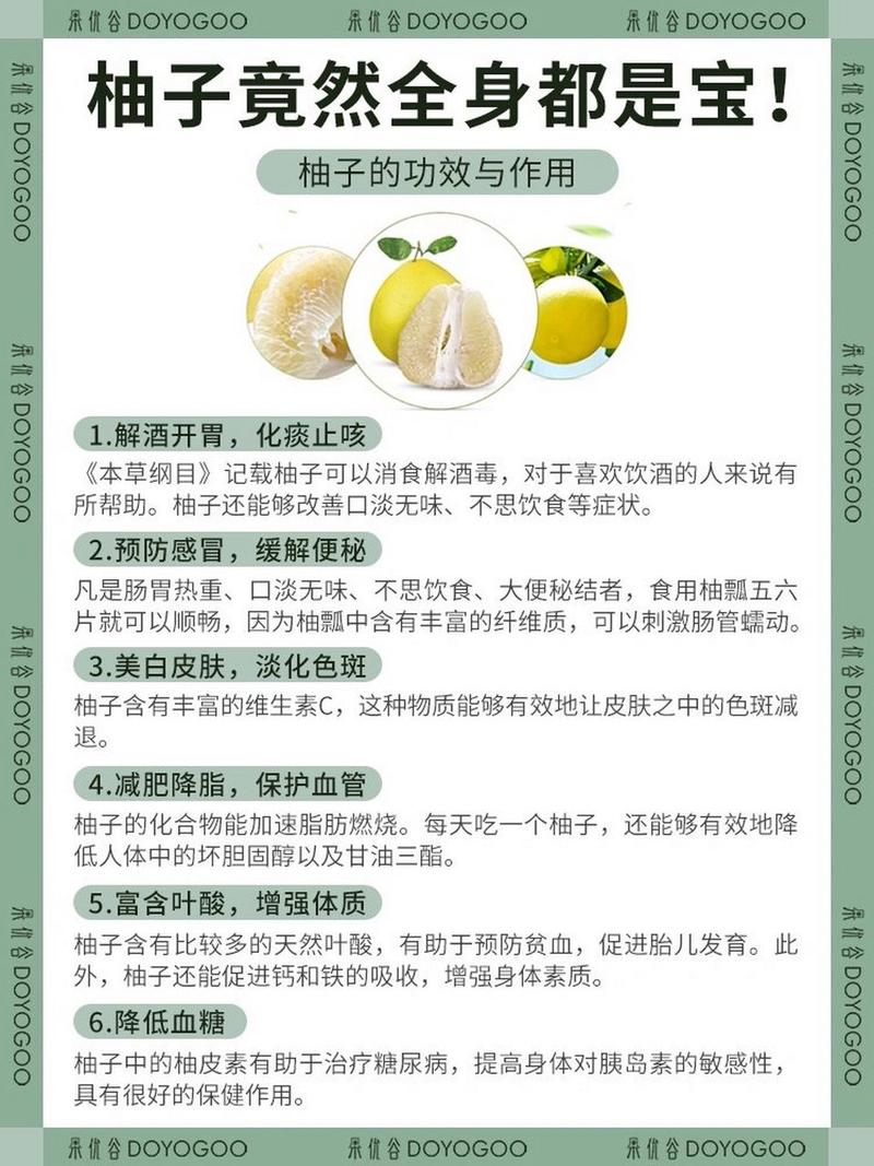 详细阅读:探寻西柚干的奥秘:风味、营养与多样魅力 探寻西柚干的奥秘:风味、营养与多样魅力