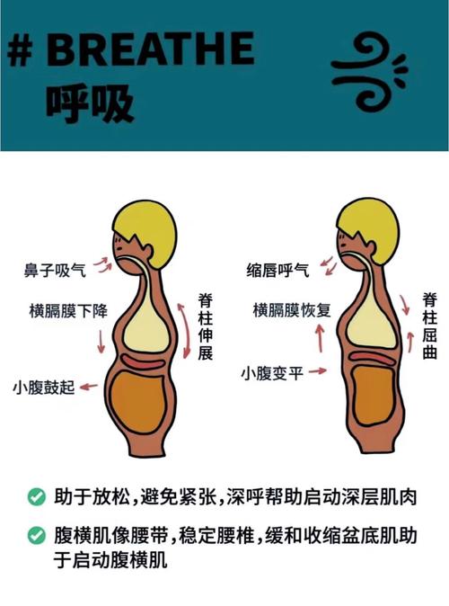详细阅读:普拉提呼吸:掌握正确呼吸,解锁身心灵的奥秘 普拉提呼吸:掌握正确呼吸,解锁身心灵的奥秘