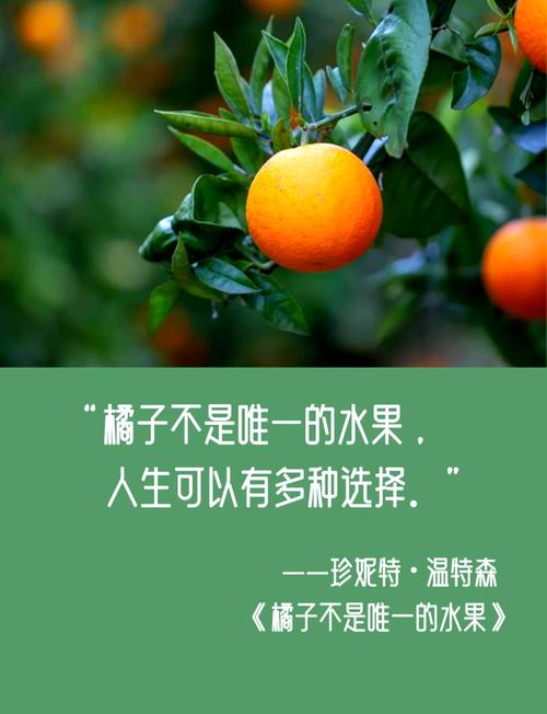 详细阅读:橘子酱:从果园到餐桌的甜蜜之旅 橘子酱:从果园到餐桌的甜蜜之旅