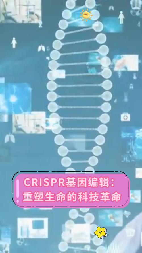 基因编辑：重塑生命的双刃剑