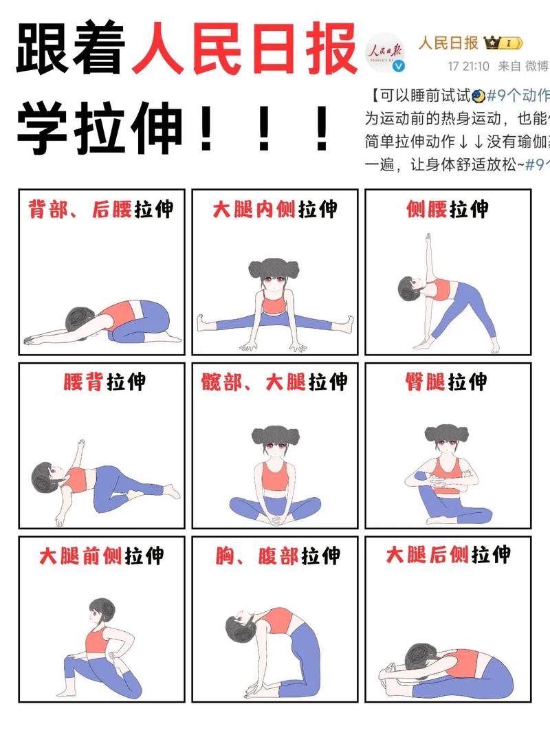 详细阅读:运动拉伸:解锁身体活力与柔韧性的秘密 运动拉伸:解锁身体活力与柔韧性的秘密