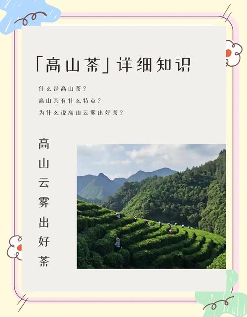 鼠尾草茶：自然馈赠的芬芳与健康之选
