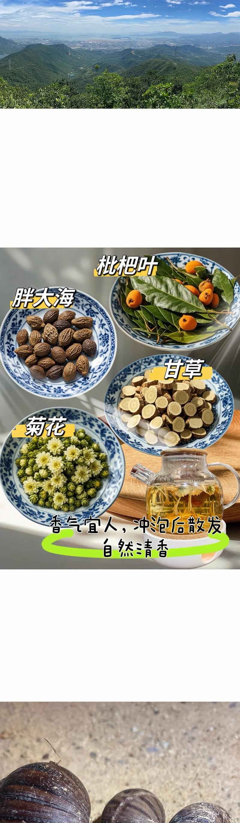 详细阅读:荆芥茶:一杯清香,千年传承的养生艺术 荆芥茶:一杯清香,千年传承的养生艺术