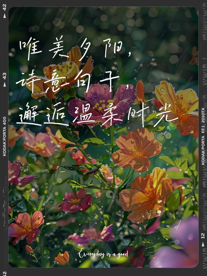 文艺风搭配：邂逅时光里的诗意与浪漫