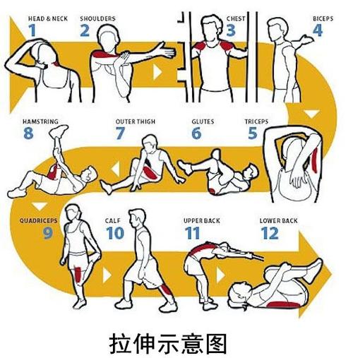 详细阅读:肩部护理与放松技巧:缓解肩部压力,畅享舒适生活 肩部护理与放松技巧:缓解肩部压力,畅享舒适生活