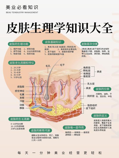 详细阅读:情绪美容的科学依据:从神经生物学到皮肤护理的全面解析 情绪美容的科学依据:从神经生物学到皮肤护理的全面解析