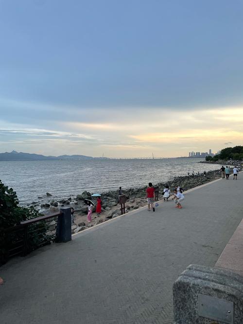 探秘深圳湾公园：城市滨海休闲的璀璨明珠