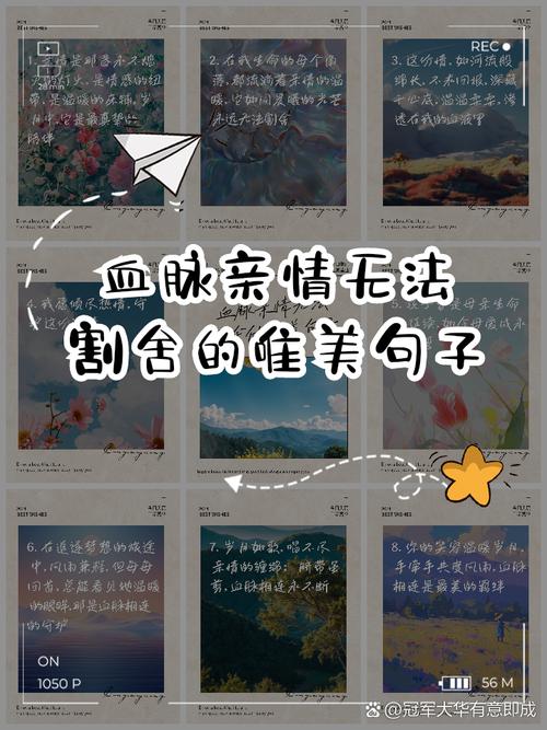 情侣争吵后的和解速度：情感纽带的试金石与修复艺术