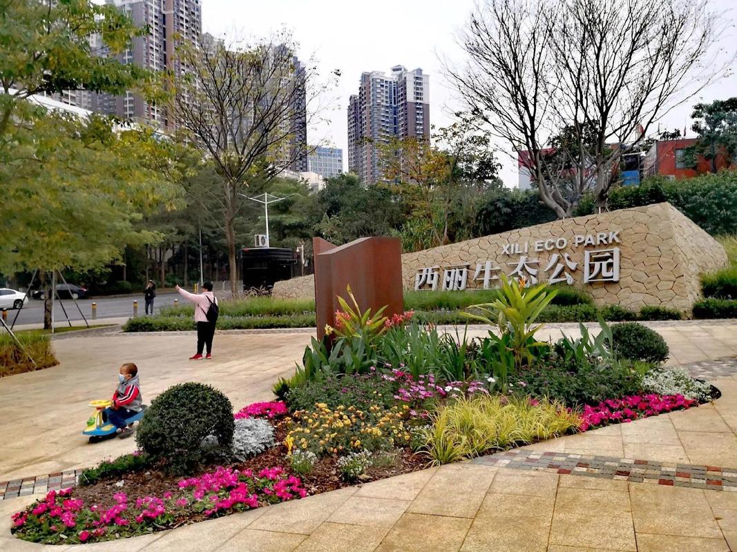 详细阅读:西丽生态公园:城市绿肺与休闲胜地的完美融合 西丽生态公园:城市绿肺与休闲胜地的完美融合