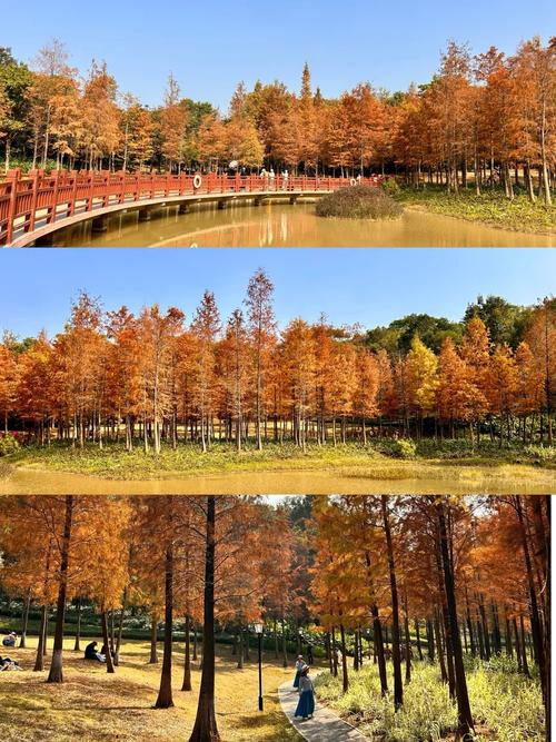 红花岭公园：历史与现代交融的城市绿洲