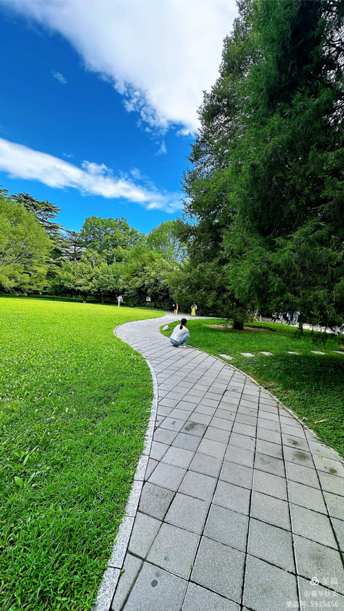 马田公园：和谐之美，城市绿洲