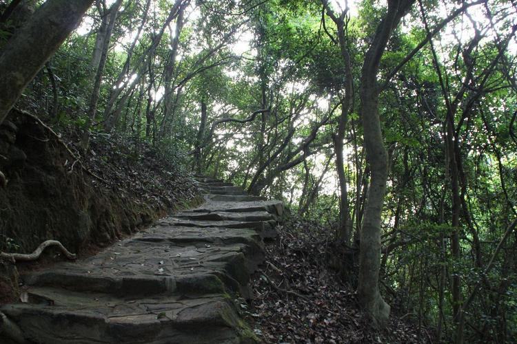 横岗园山风景区：都市后花园，野趣与刺激的完美碰撞