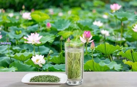 花草茶：品味自然，邂逅美好
