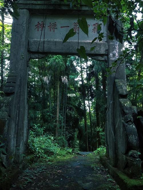 雾中山