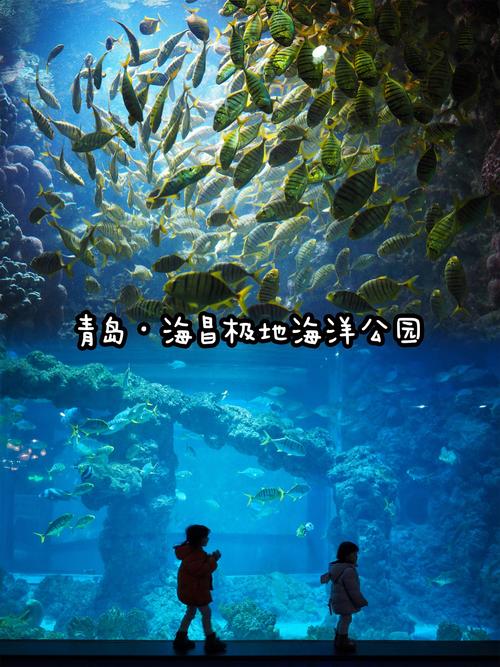 探秘海昌极地海洋公园：极致浪漫与奇幻之旅的完美融合