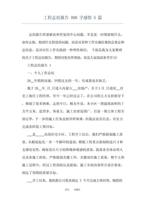 [项目名称/工作经历]经验教训总结报告