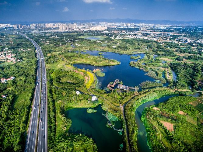 白鹭湾湿地公园：城市中的生态绿洲