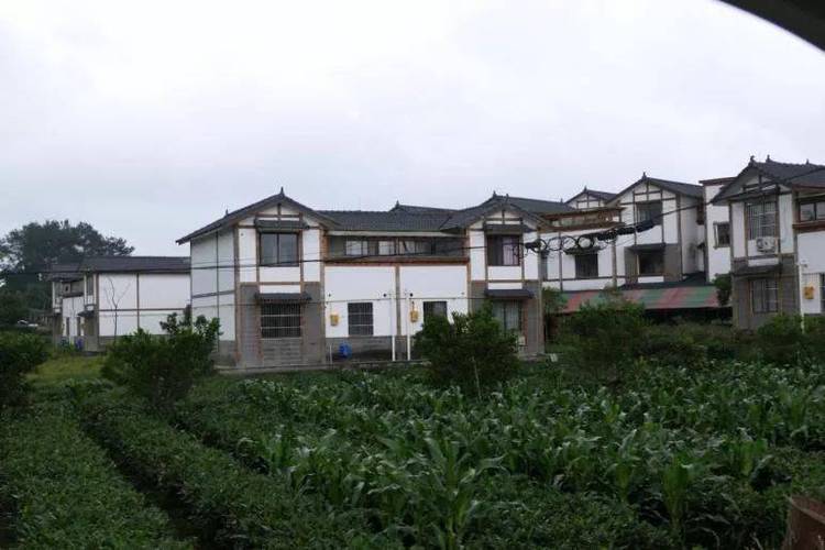 详细阅读:明月村:从贫困村落到乡村振兴的典范之路 明月村:从贫困村落到乡村振兴的典范之路