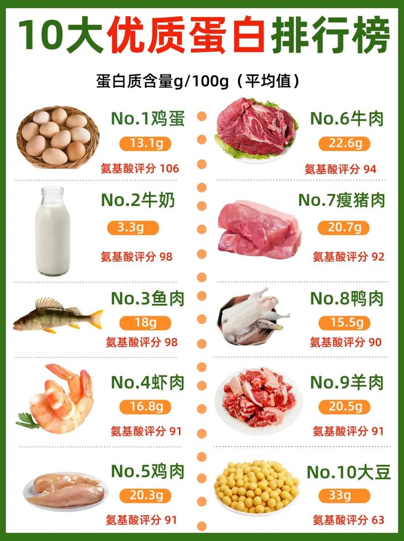 蛋白质——生命的基石，优质蛋白食物全解析