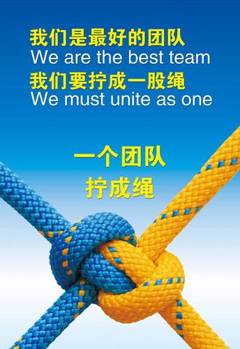携手共进：团队合作的力量与实践