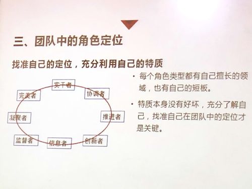 团队角色定位：协同共进的关键基石