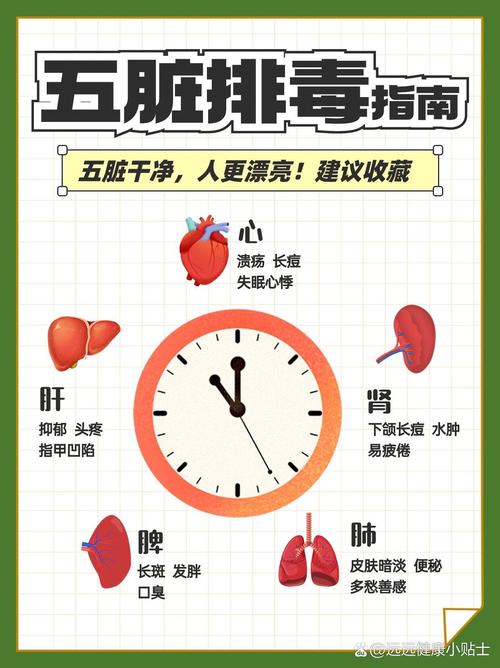 全方位排毒养生指南：焕活身心，畅享健康人生