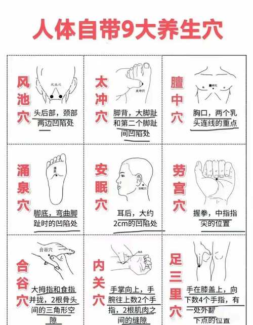穴位养生：开启健康活力的奇妙密钥