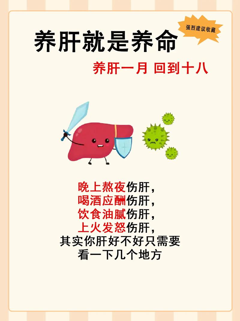 详细阅读:护肝养生全攻略:守护身体“化工厂”,畅享健康生活 护肝养生全攻略:守护身体“化工厂”,畅享健康生活