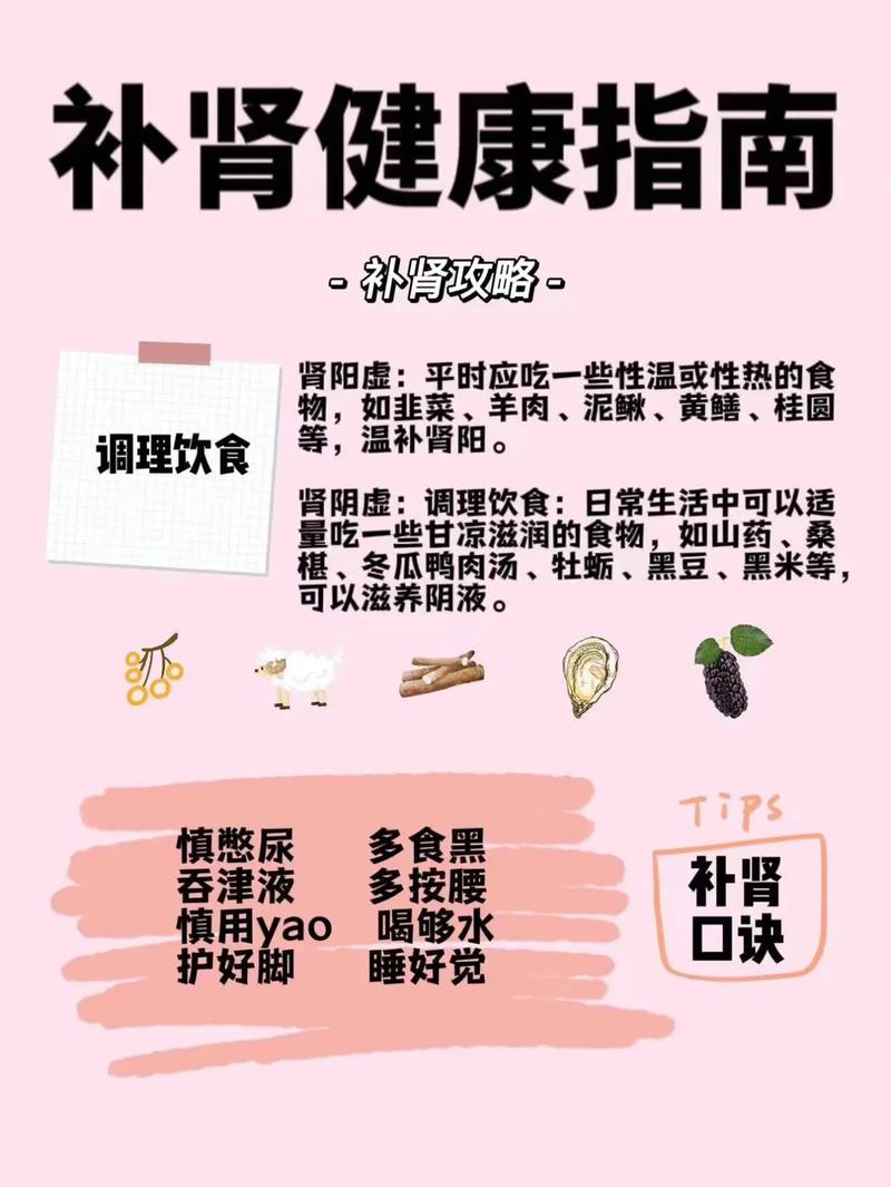 补肾养生，食之有道：开启活力满满的健康生活