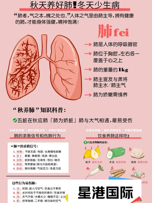养肺养生：守护生命之源，畅享健康生活