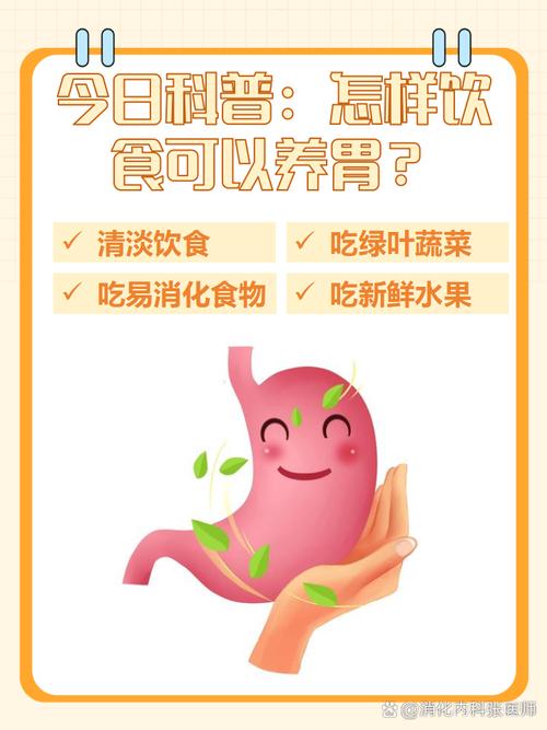 养胃养生：守护胃部健康，畅享生活之乐