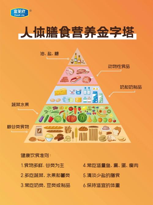 详细阅读:食物营养均衡:健康生活的基石 食物营养均衡:健康生活的基石