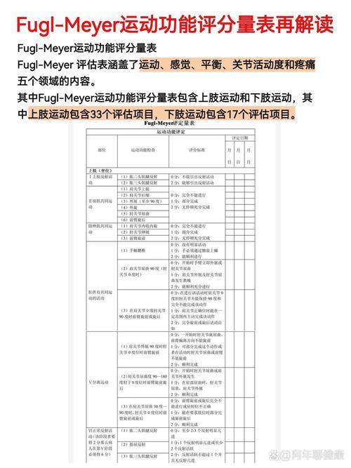 详细阅读:全面解析健身效果的评估方法与意义 全面解析健身效果的评估方法与意义