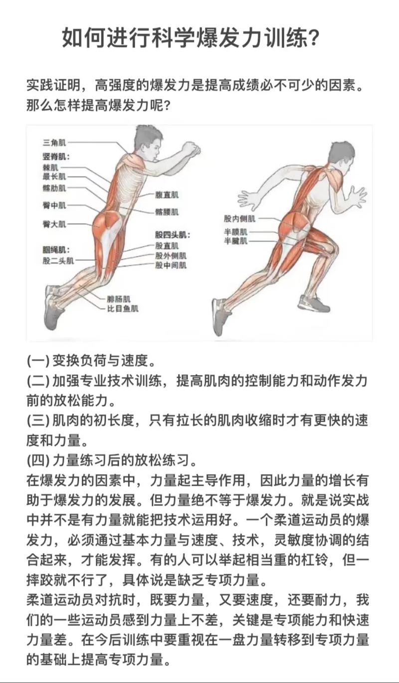 身体爆发力训练：解锁身体潜能，提升运动表现
