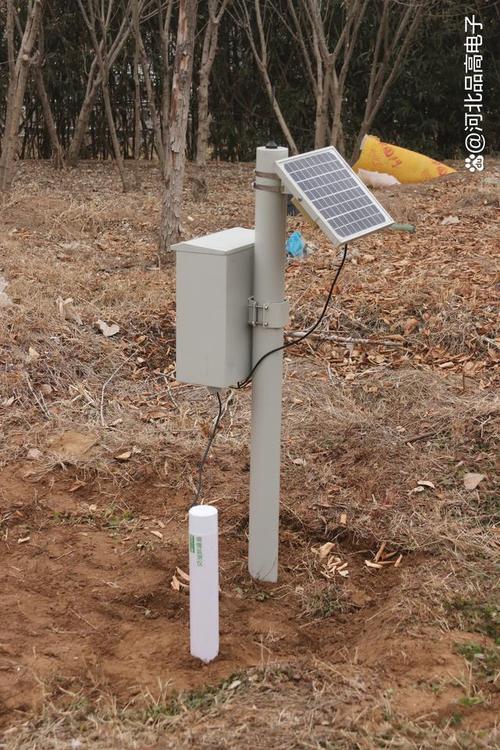 土壤传感器：监测与管理土壤环境的关键工具