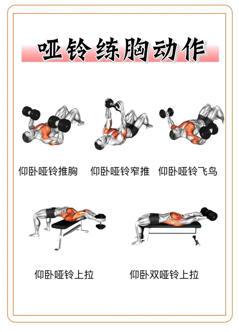 详细阅读:哑铃训练全攻略:打造完美身体线条与提升运动表现 哑铃训练全攻略:打造完美身体线条与提升运动表现
