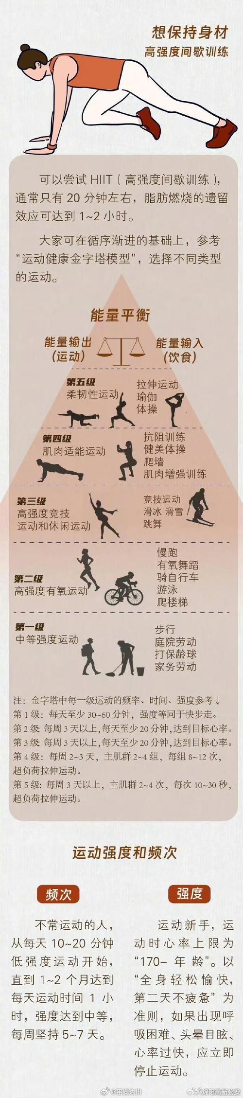运动与塑形的科学原理