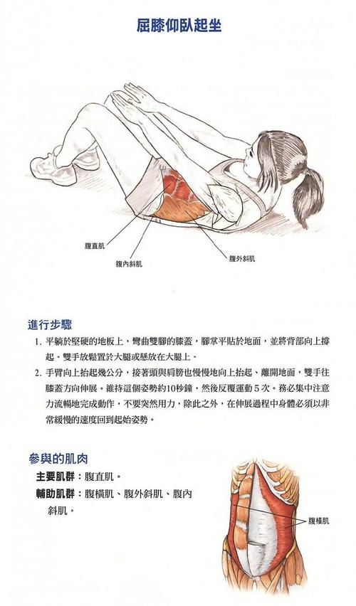 仰卧起坐训练：高效塑造腹部力量与线条的秘籍