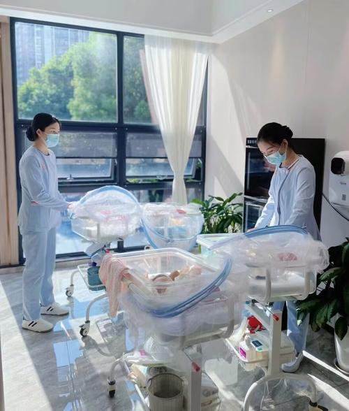 月子中心：为新妈妈和宝宝打造的温馨港湾