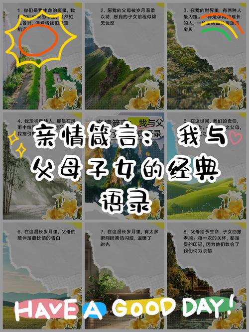 亲情：心之归处，爱之源泉