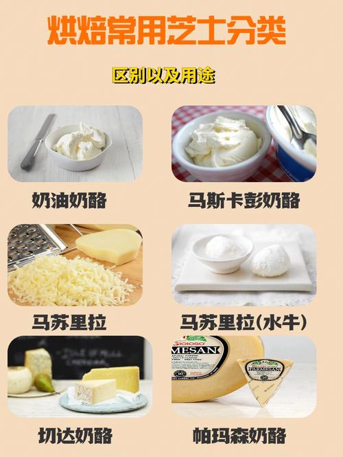 详细阅读:奶酪,奶酪单词 奶酪,奶酪单词