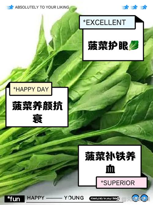 菠菜,菠菜的功效与作用
