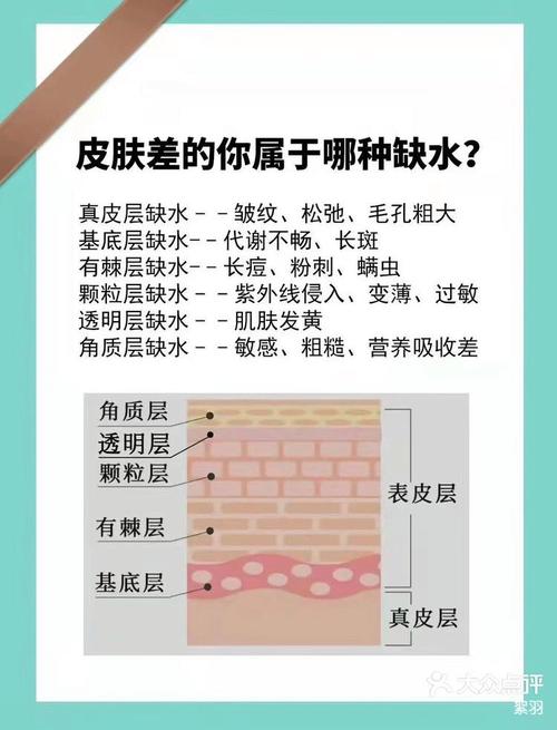 详细阅读:肌肤吸收营养,肌肤吸收营养过敏 肌肤吸收营养,肌肤吸收营养过敏