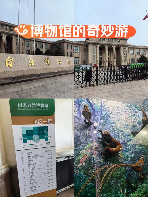 北京自然博物馆,北京自然博物馆预约网上预约