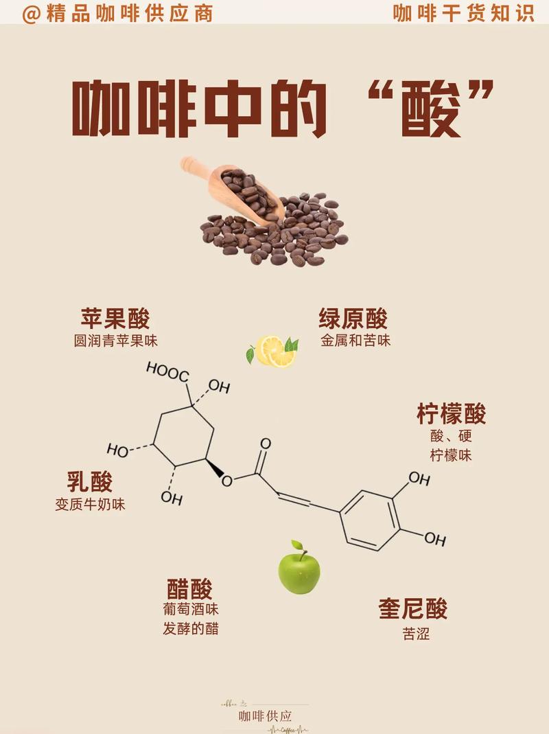详细阅读:咖啡,咖啡的功效与作用及副作用 咖啡,咖啡的功效与作用及副作用