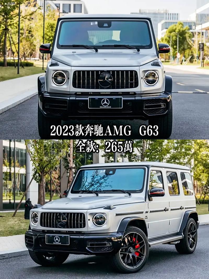 奔驰 G 级,奔驰g级越野车价格