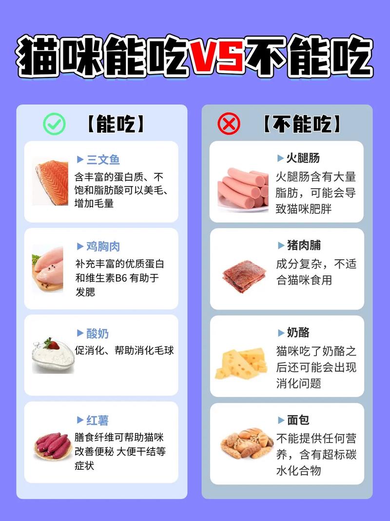 食材搭配禁忌,食材搭配禁忌一览