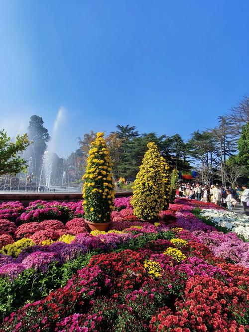 中山公园,中山公园景点介绍
